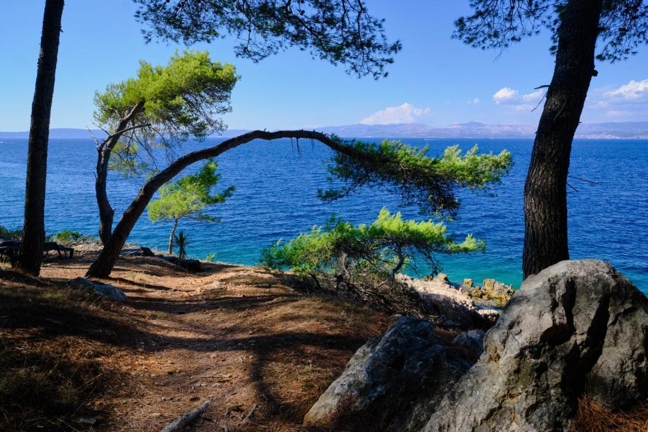 Vila Vita Donje Selo na Šolti Εξωτερικό φωτογραφία
