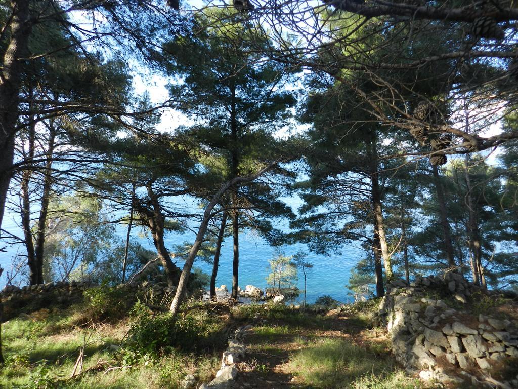 Vila Vita Donje Selo na Šolti Εξωτερικό φωτογραφία