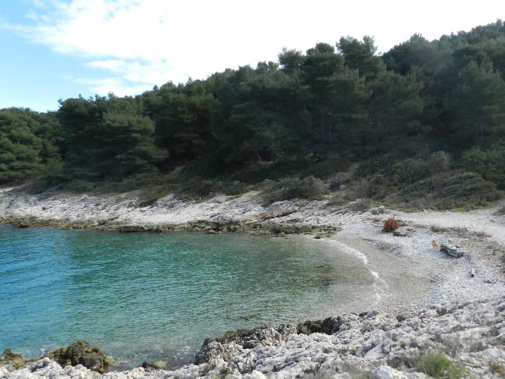 Vila Vita Donje Selo na Šolti Εξωτερικό φωτογραφία